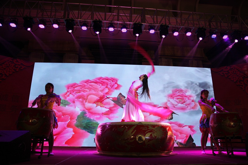 乐动(中国)集团2016年会 